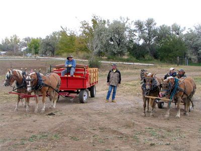 Two teams
