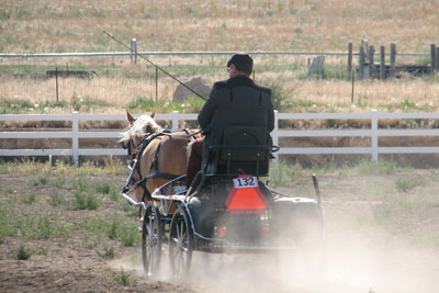 Daryl returning from turnout inspection