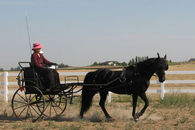 Donna waiting for turnout inspection