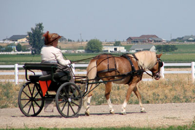 Janie on drive
