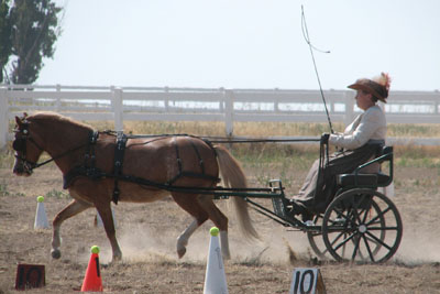 Janie on cones