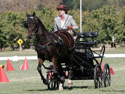 Amanda driving at Shady Oaks