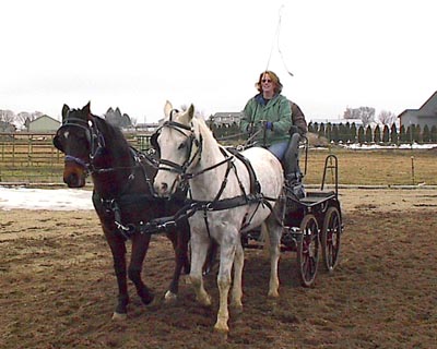 Amanda's new carriage