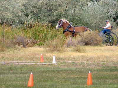 Eric & Belgian