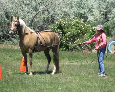 carolyn&darq