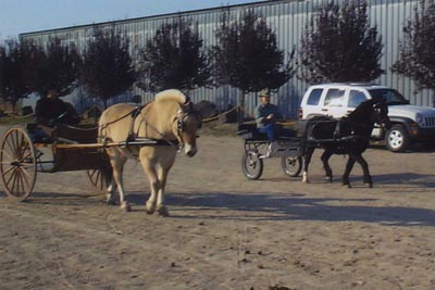'Ernie' and 'Geordi' at the Birt Arena