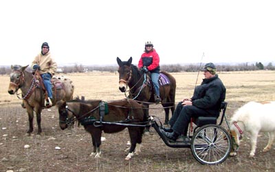 Susan, Dave and Tracy