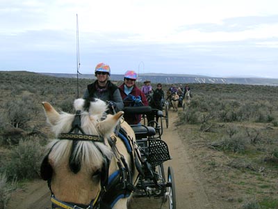 trail group