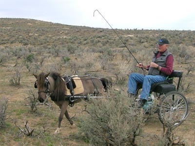 Dick and his VSE
