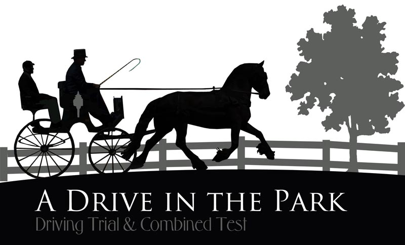 A Drive in the Park