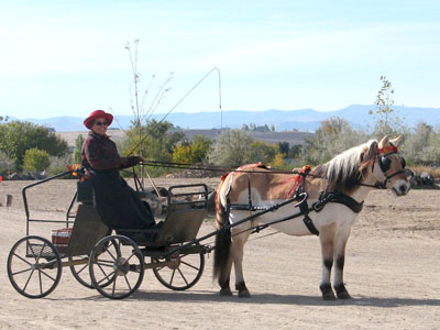 Mary and Rosie Cotton