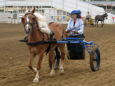Barbara with her young mare