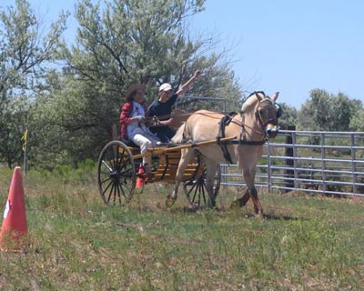 sami&tolle