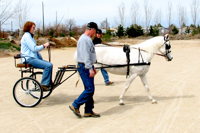white pony