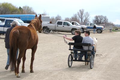 cart leading horse